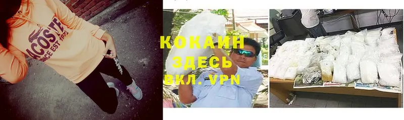 Купить Камышин Канабис  Cocaine  гидра онион  Alpha-PVP  Меф мяу мяу  ГАШ  Псилоцибиновые грибы 